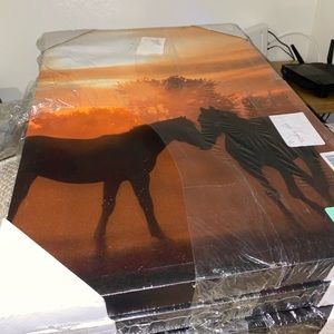 3 piece canvas photo set 12x 20 inch